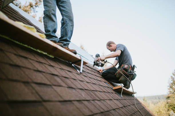 Quick and Trustworthy Emergency Roof Repair Services in Canyon Lake, CA